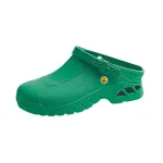 abeba autoclavable clogs - green- Integrity